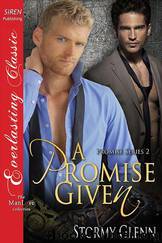 A Promise Given [Promise 2] (Siren Publishing Everlasting Classic ManLove) by Stormy Glenn