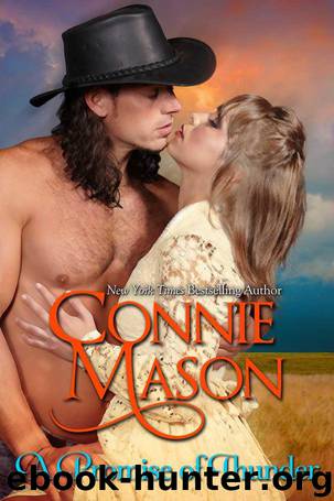 A Promise of Thunder by Mason Connie