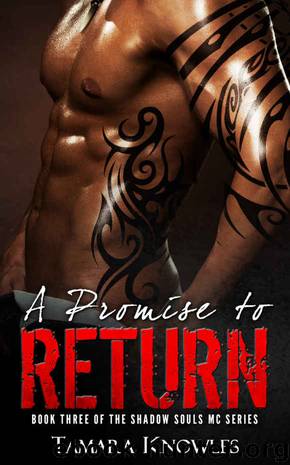 A Promise to Return (Shadow Souls MC Book 3) by Tamara Knowles
