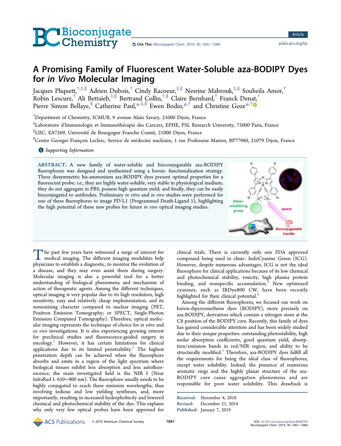A Promising Family of Fluorescent Water-Soluble aza-BODIPY Dyes for in Vivo Molecular Imaging by unknow