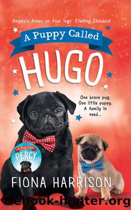 A Puppy Called Hugo by Fiona Harrison
