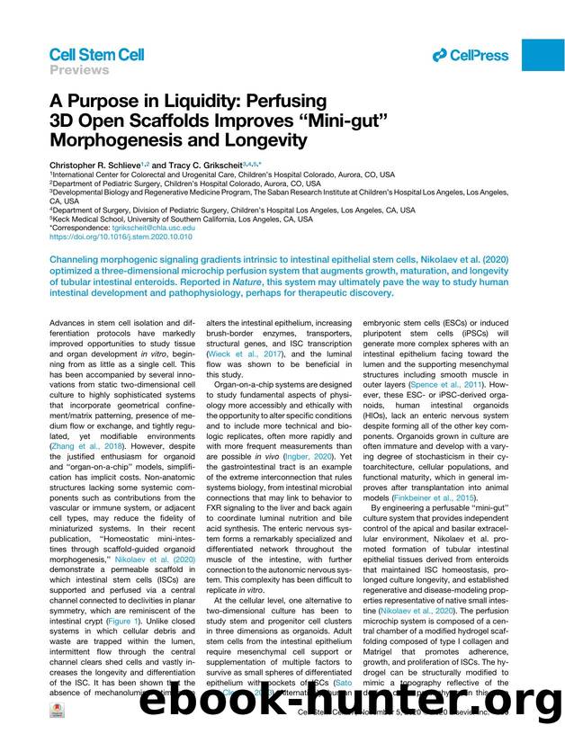 A Purpose in Liquidity: Perfusing 3D Open Scaffolds Improves &#x201C;Mini-gut&#x201D; Morphogenesis and Longevity by Christopher R. Schlieve & Tracy C. Grikscheit