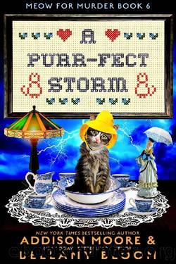 A Purr-fect Storm: Cozy Mystery (MEOW FOR MURDER Book 6) by Addison Moore & Bellamy Bloom