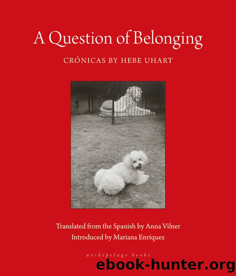 A Question of Belonging by Hebe Uhart