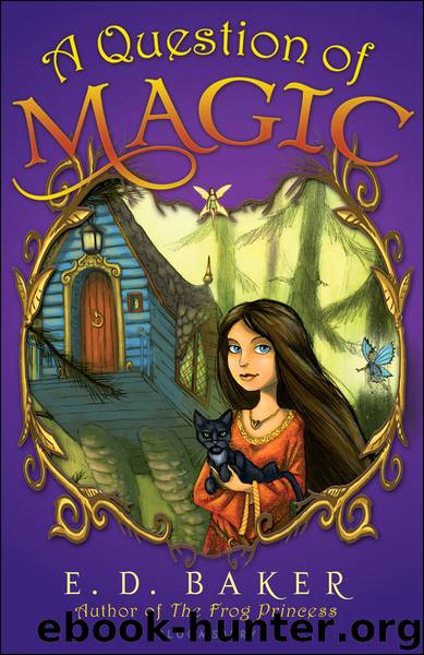 A Question of Magic by E. D. Baker
