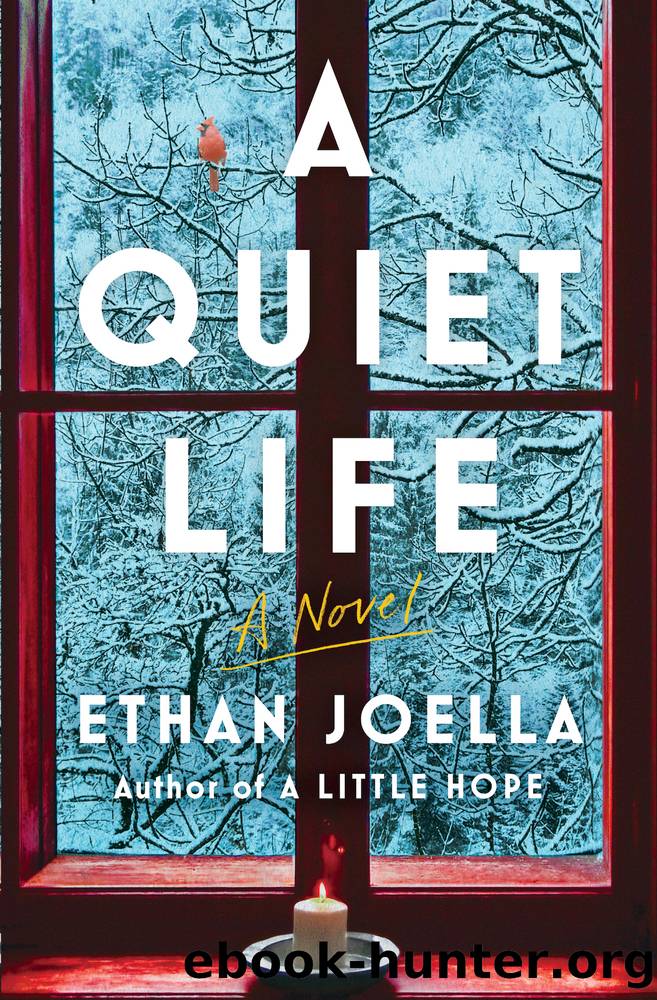 A Quiet Life by Ethan Joella