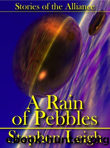 A Rain of Pebbles by Stephen Leigh