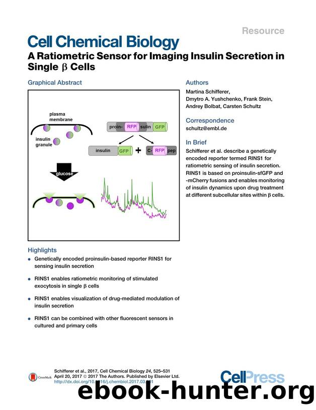 A Ratiometric Sensor for Imaging Insulin Secretion in Single &beta; Cells by Martina Schifferer & Dmytro A. Yushchenko & Frank Stein & Andrey Bolbat & Carsten Schultz