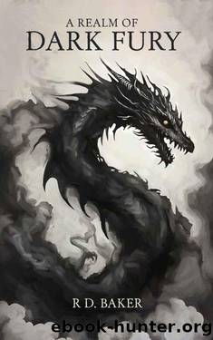 A Realm of Dark Fury by RD Baker