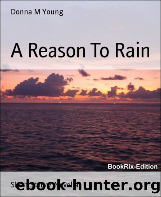 A Reason to Rain by Donna M Young