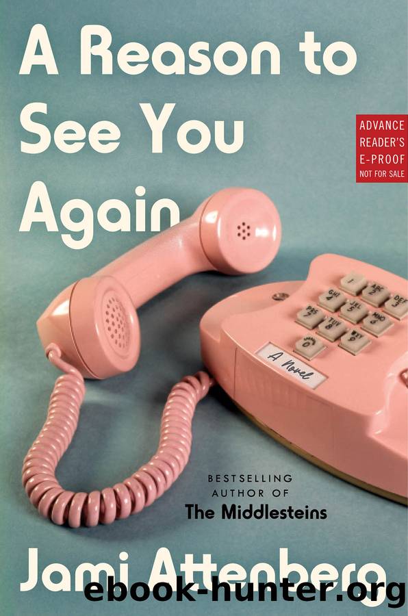 A Reason to See You Again by Attenberg Jami