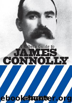 A Rebel's Guide to James Connolly by Sean Mitchell