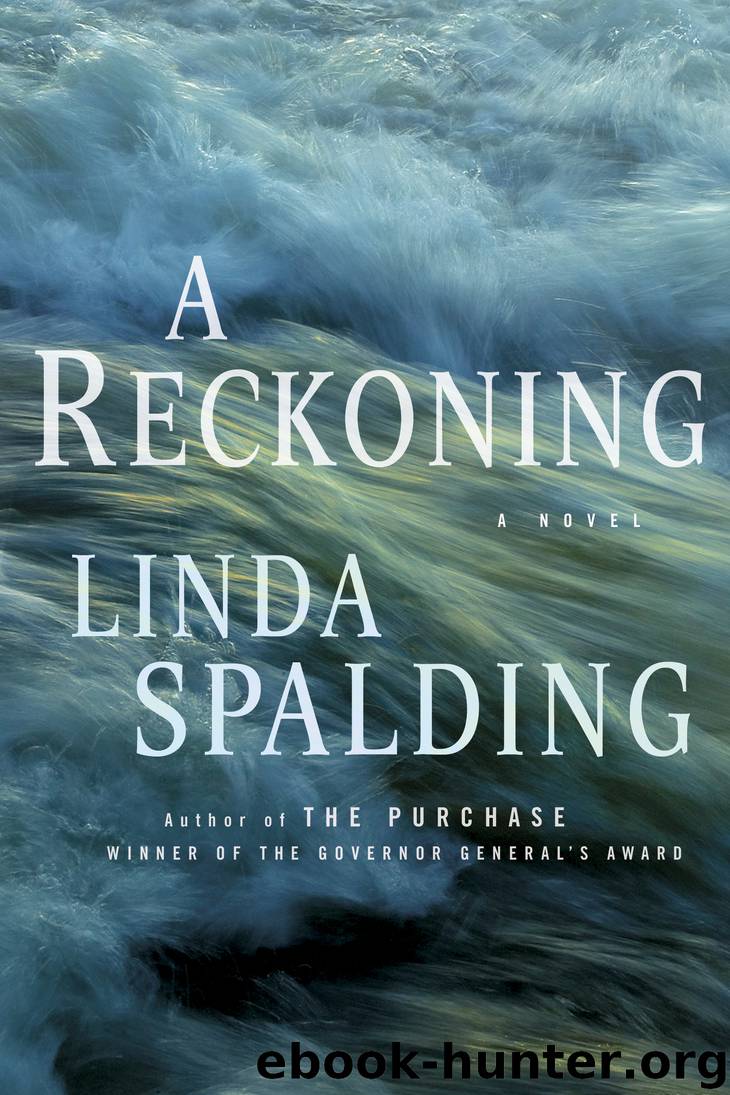 A Reckoning by Linda Spalding