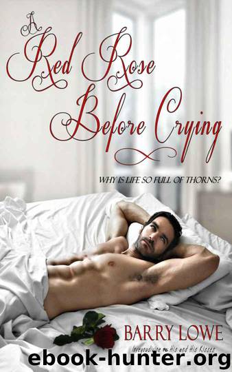 A Red Rose Before Crying by Barry Lowe
