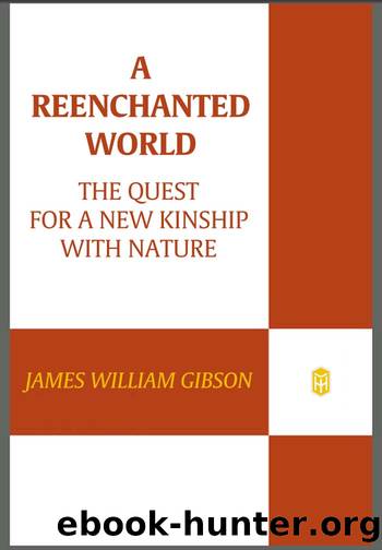 A Reenchanted World by James William Gibson