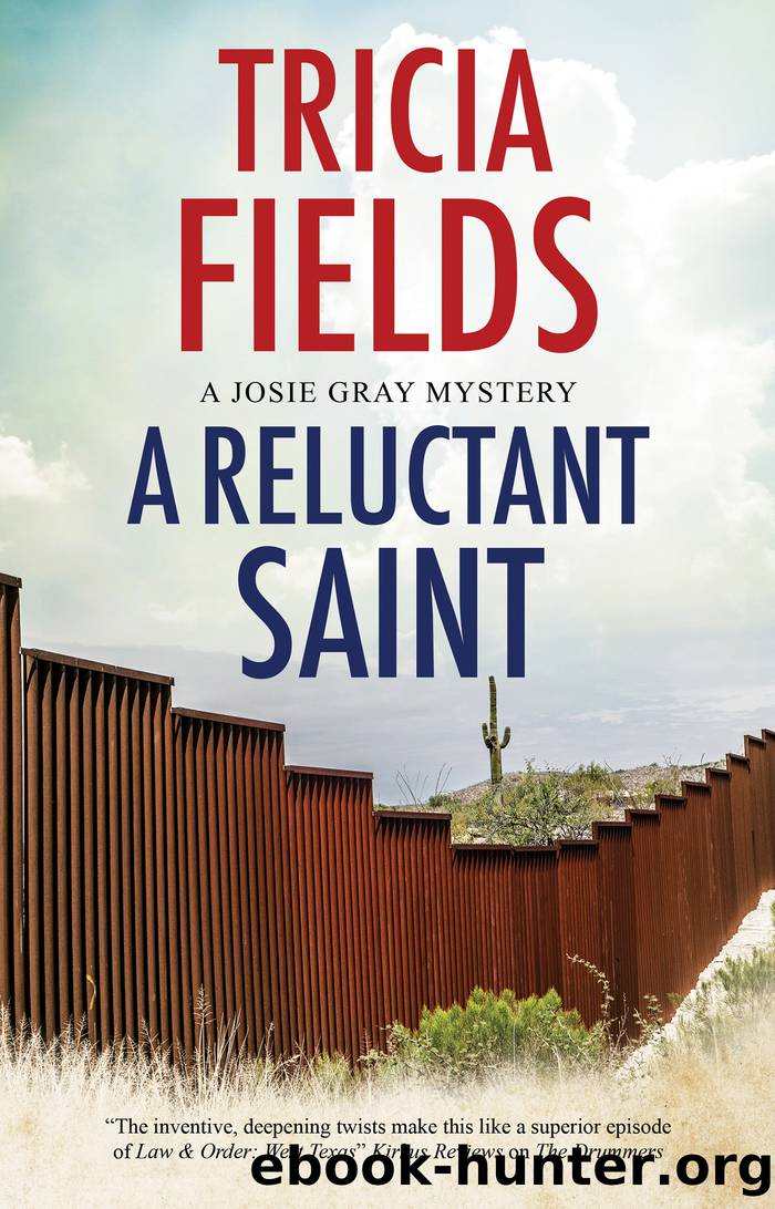 A Reluctant Saint by Tricia Fields