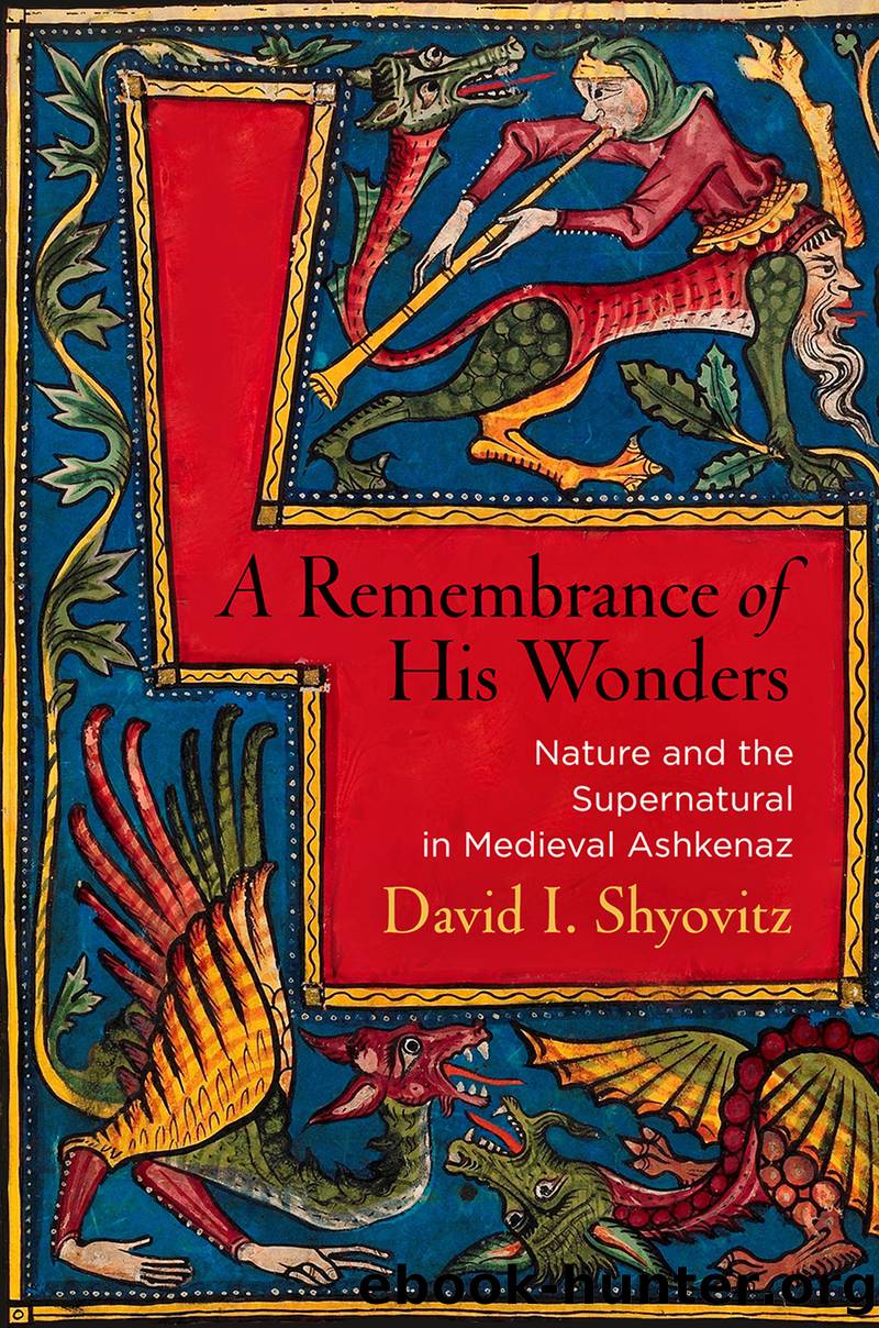 A Remembrance of His Wonders by Shyovitz David I.;