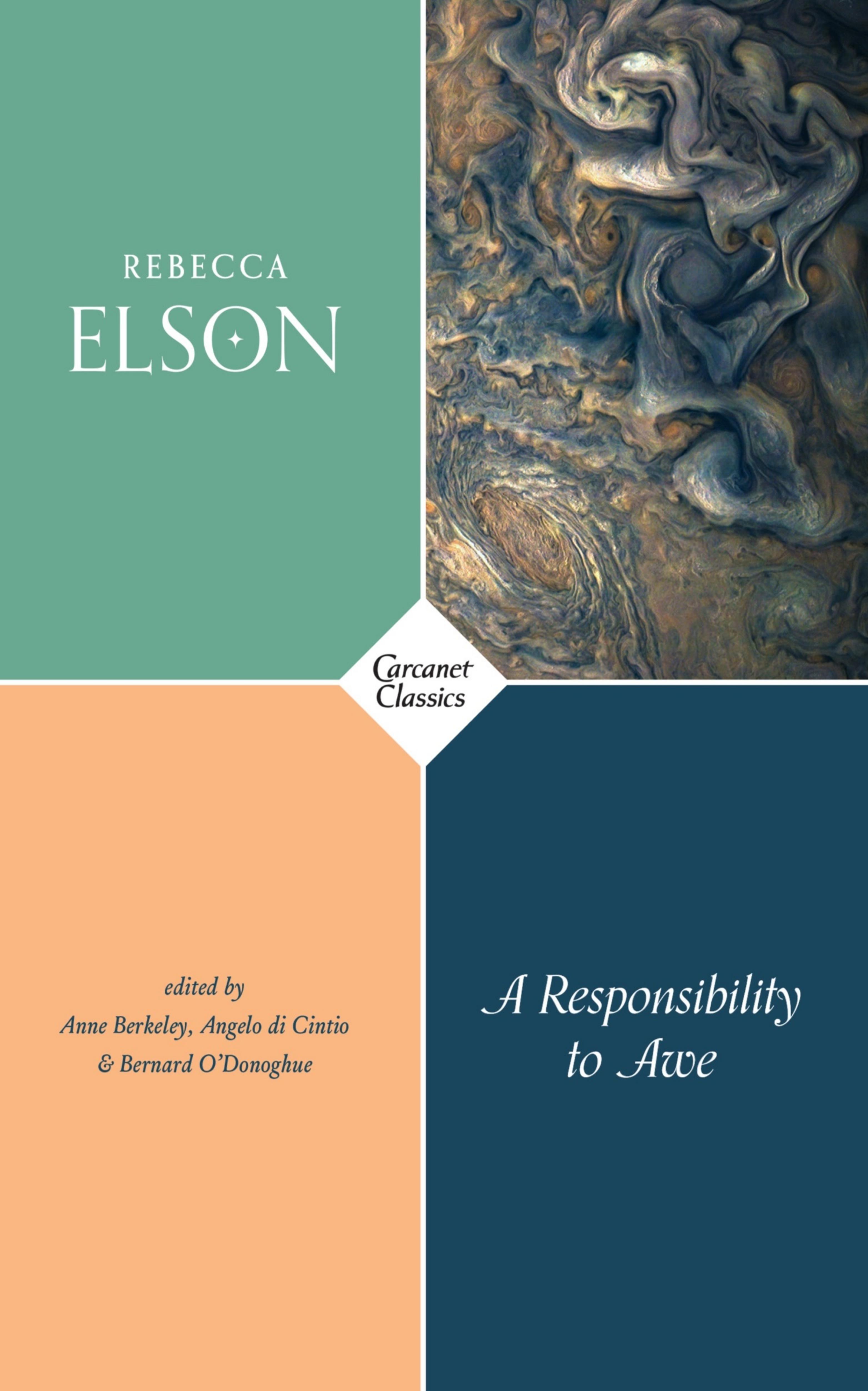 A Responsibility to Awe by Rebecca Elson