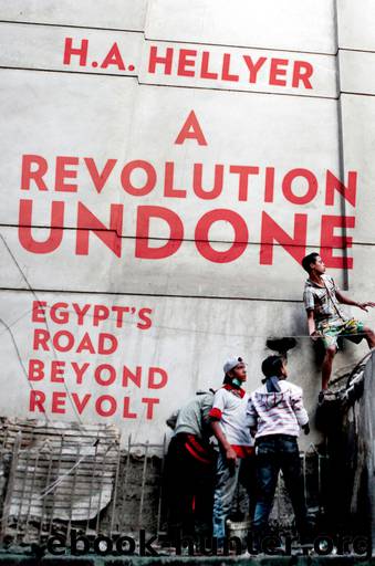 A Revolution Undone by Hellyer H. A.;