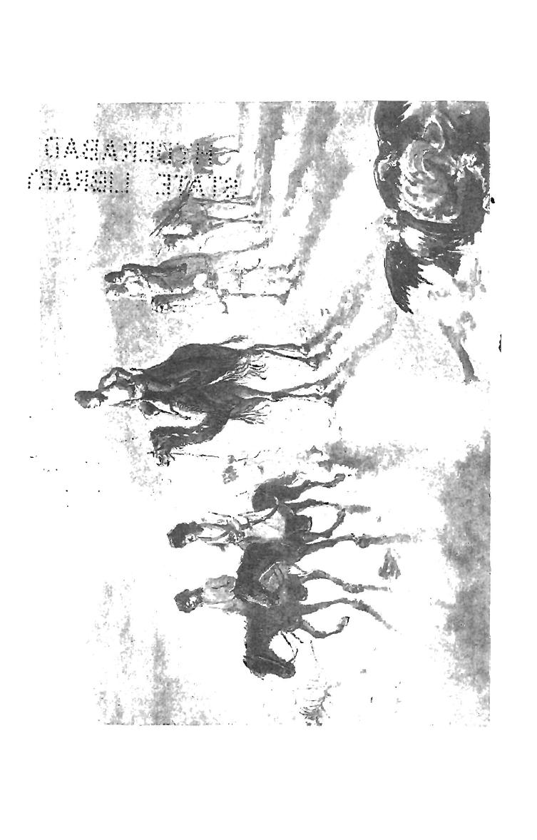 A Ride To India: Across Persia And Baluchistan (1891) by Harry De Windt