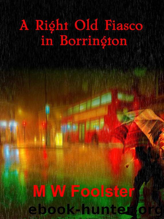 A Right Old Fiasco in Borrington by Foolster M W