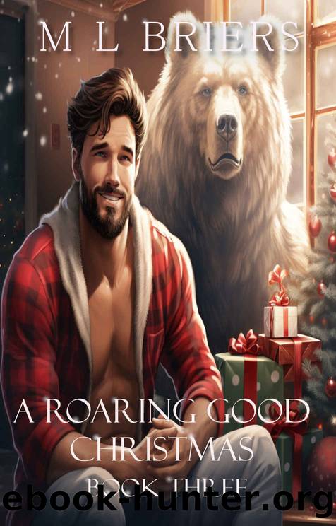 A Roaring Good Christmas - Book Three by Briers M L