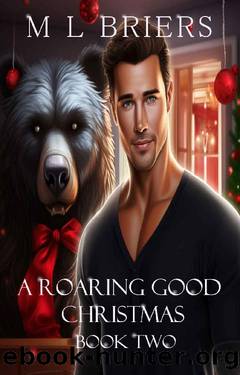 A Roaring Good Christmas - Book Two: A Paranormal Romantic Comedy by M L Briers