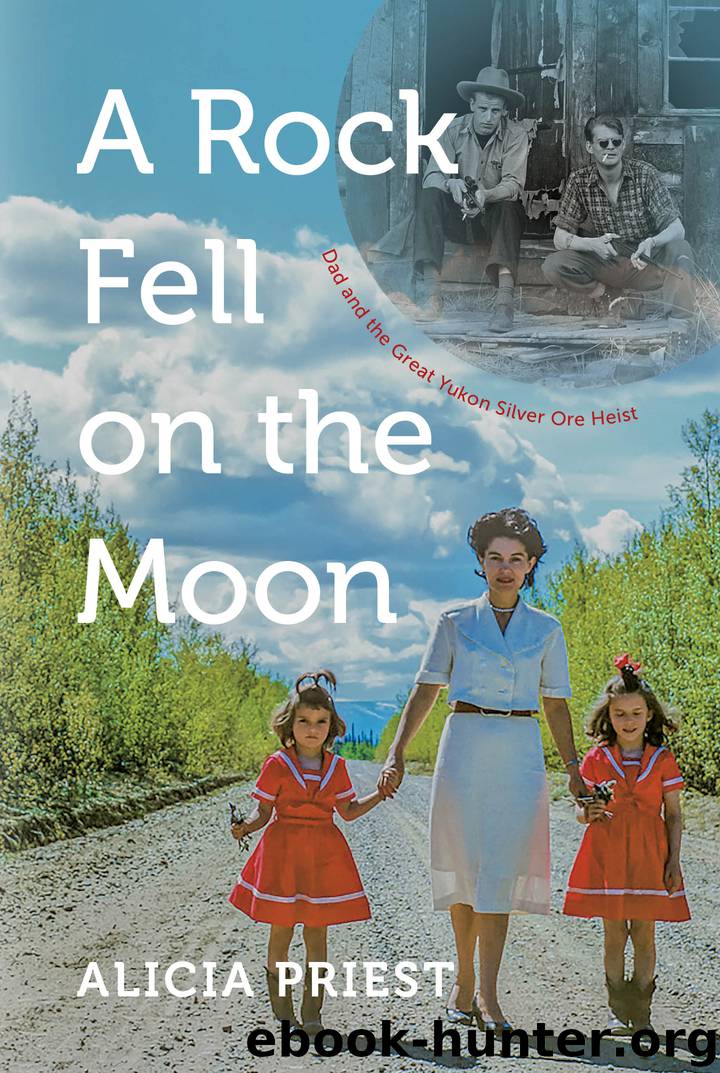 A Rock Fell on the Moon by Alicia Priest