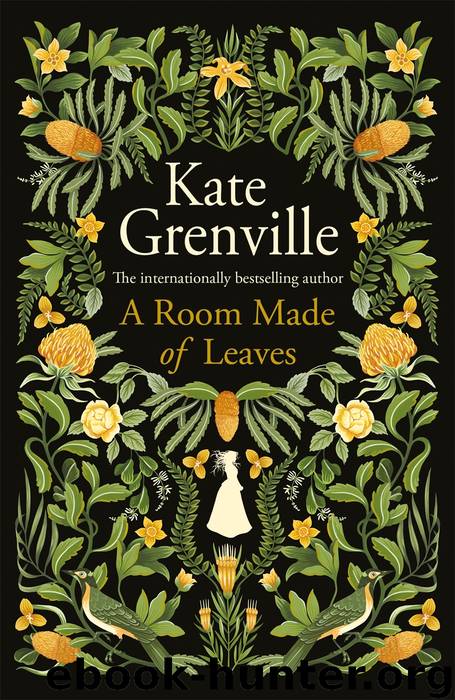 A Room Made of Leaves by Kate Grenville