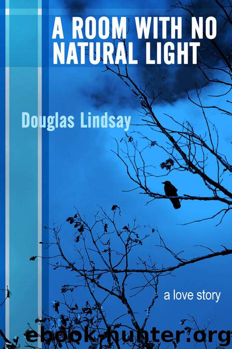 A Room With No Natural Light by Douglas Lindsay