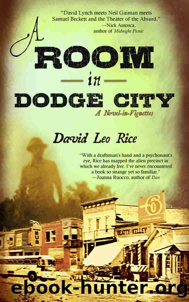 A Room in Dodge City by David Leo Rice