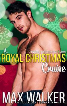 A Royal Christmas Cruise_Stonewall Investigations Miami by Max Walker