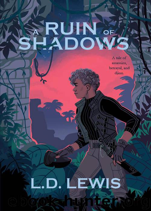 A Ruin of Shadows by L.D. Lewis