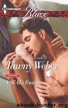 A SEAL's Fantasy by Tawny Weber