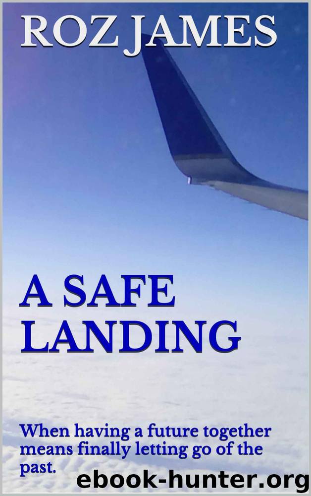 A Safe Landing by Roz James