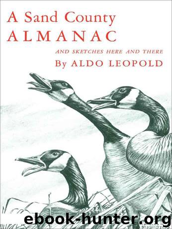 A Sand County Almanac : With Other Essays on Conservation from Round River by Leopold Aldo