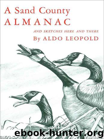 A Sand County Almanac by Leopold Aldo; Charles W. Schwartz