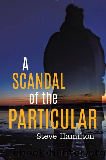A Scandal of the Particular by Steve Hamilton
