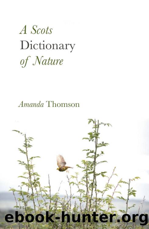 A Scots Dictionary of Nature by Amanda Thomson