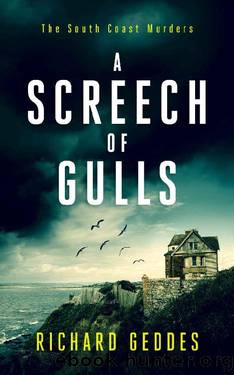 A Screech of Gulls (The South Coast Murders Book 1) by Richard Geddes