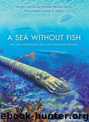 A Sea Without Fish by Davis Richard Arnold.;Meyer David L.;