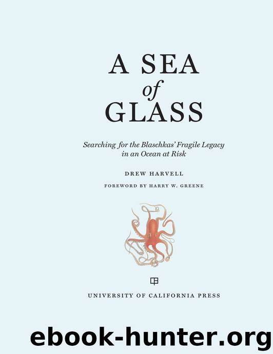 A Sea of Glass by Drew Harvell