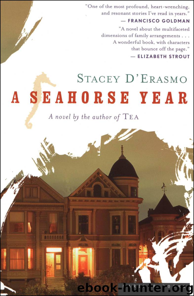 A Seahorse Year by Stacey D'Erasmo