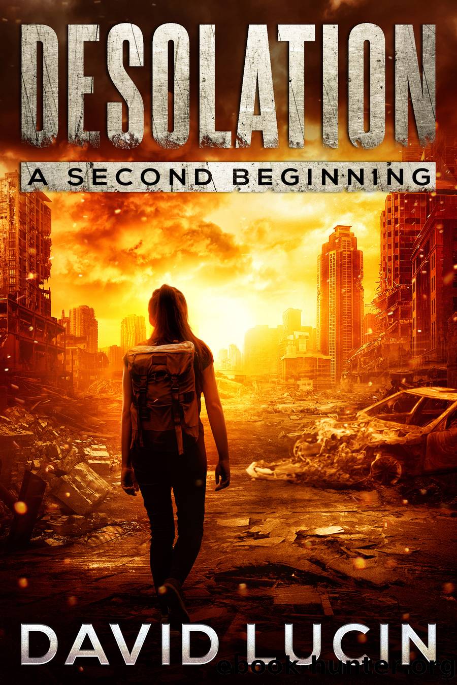 A Second Beginning by David Lucin