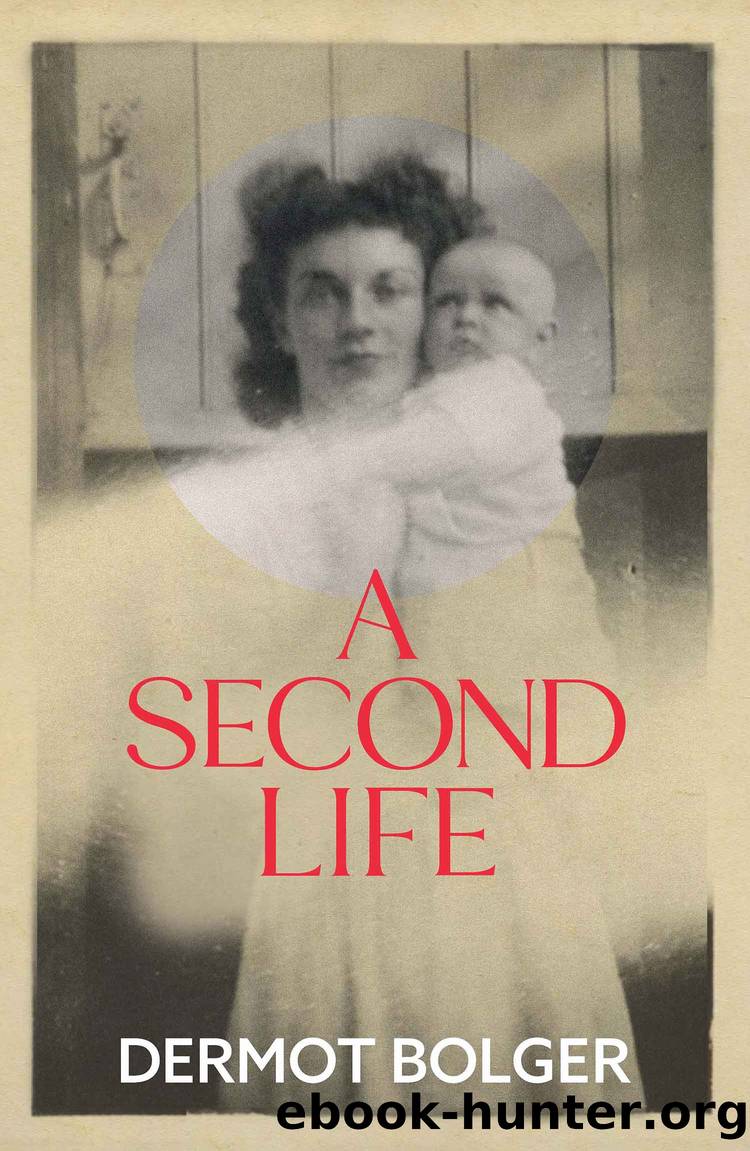 A Second Life by Dermot Bolger