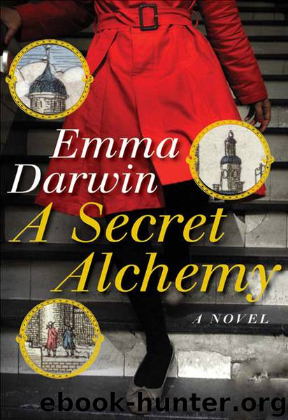 A Secret Alchemy by Emma Darwin