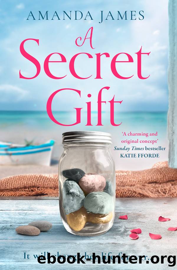 A Secret Gift by Amanda James