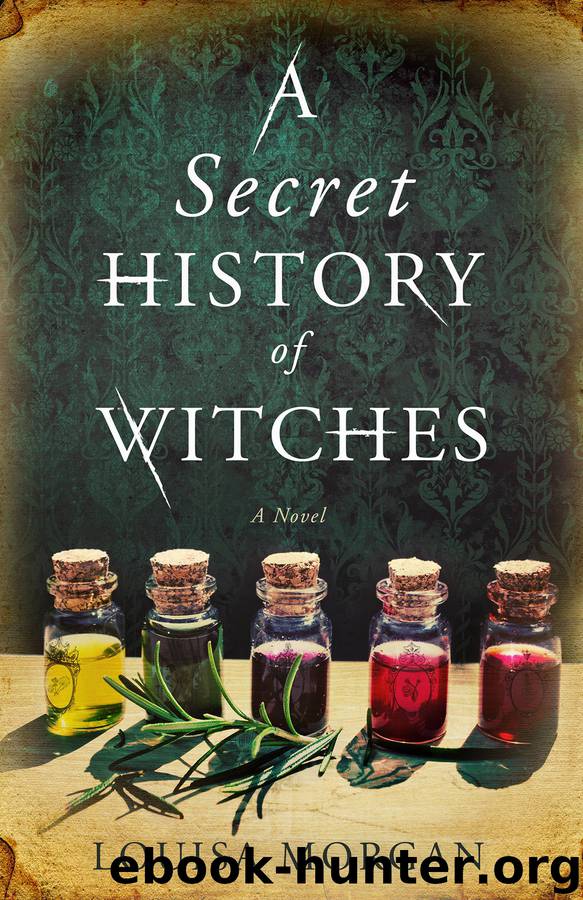 A Secret History of Witches by Louisa Morgan