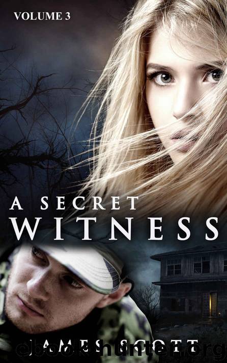 A Secret Witness by James Scott