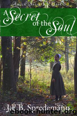 A Secret of the Soul (Amish Secrets--Book 6) by J.E.B. Spredemann